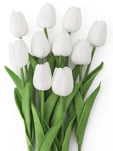 Camerazar Umělé bílé tulipány, 10 ks, délka 34 cm, materiál silikon a plast