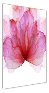Vertikální Foto obraz sklo tvrzené Růžový květ osv-98648030