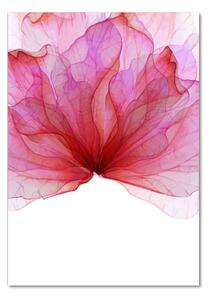 Vertikální Foto obraz sklo tvrzené Růžový květ osv-98648030
