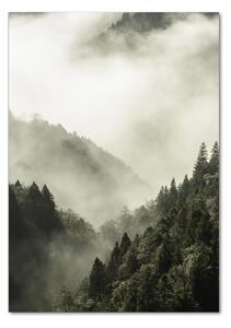 Vertikální Foto obraz fotografie na skle Mlha nad lesem osv-98626353