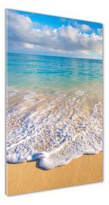 Vertikální Foto obraz skleněný svislý Tropická pláž osv-98746021