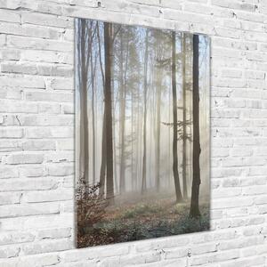 Vertikální Foto obraz sklo tvrzené Mlha v lese osv-98968412