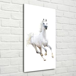 Vertikální Fotoobraz na skle Bílý kůň cval osv-99028092