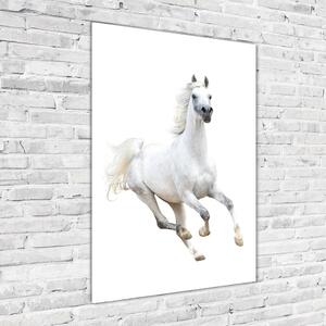 Vertikální Fotoobraz na skle Bílý kůň cval osv-99028092
