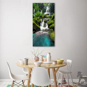 Vertikální Fotoobraz na skle Vodopád v džungli osv-99201253