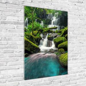 Vertikální Fotoobraz na skle Vodopád v džungli osv-99201253