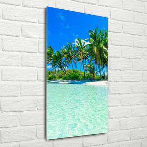 Vertikální Foto obraz skleněný svislý Tropická pláž osv-99365379