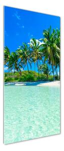 Vertikální Foto obraz skleněný svislý Tropická pláž osv-99365379