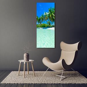 Vertikální Foto obraz na plátně Tropická pláž ocv-99365379