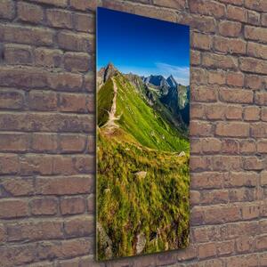 Vertikální Fotoobraz skleněný na stěnu do obýváku Tatry osv-99701533