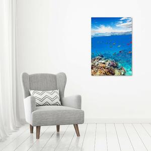 Vertikální Foto obraz na plátně Korálový útes ocv-99741129