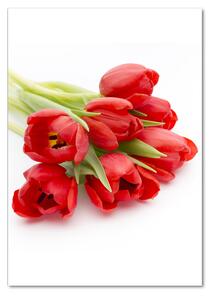 Vertikální Fotoobraz na skle Červené tulipány osv-99817079