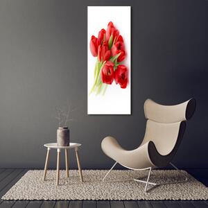 Vertikální Fotoobraz na skle Červené tulipány osv-99817079