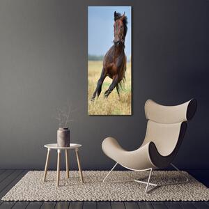Vertikální Foto obraz sklo tvrzené Kůň na poli osv-99827163