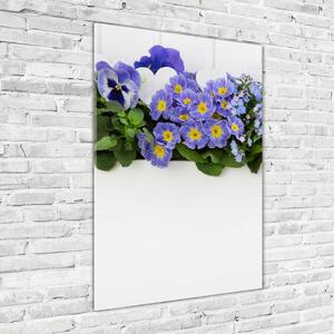 Vertikální Foto obraz skleněný svislý Fialové květiny osv-99973378