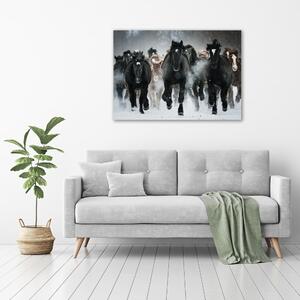 Moderní fotoobraz canvas na rámu Koně ve cvalu oc-100599120
