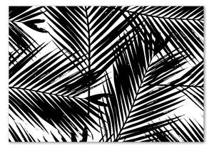 Foto obraz sklo tvrzené Listí palmy osh-101389703