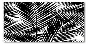 Foto obraz sklo tvrzené Listí palmy osh-101389703