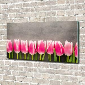 Foto obraz sklo tvrzené Růžové tulipány osh-102142486