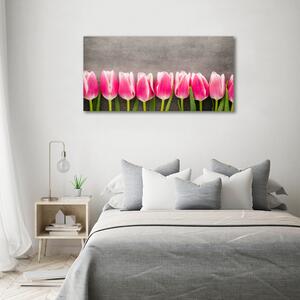 Foto obraz na plátně do obýváku Růžové tulipány oc-102142486