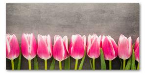 Foto obraz sklo tvrzené Růžové tulipány osh-102142486