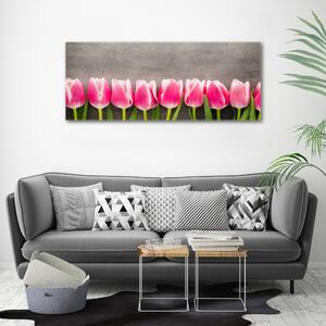 Foto obraz na plátně do obýváku Růžové tulipány oc-102142486