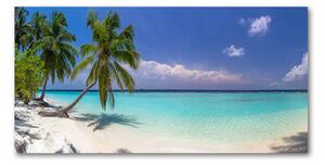 Foto-obrah sklo tvrzené Panorama pláže osh-102390473