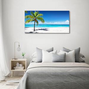 Foto obraz skleněný horizontální Tropická pláž osh-102463727
