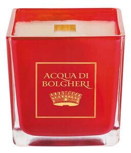 Acqua di Bolgheri Vánoční sójová vonná svíčka Pan di Zenzero 200 g
