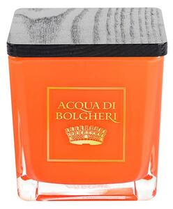 Acqua di Bolgheri Sójová vonná svíčka Scirocco 200 g