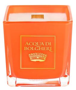 Acqua di Bolgheri Sójová vonná svíčka Scirocco 200 g