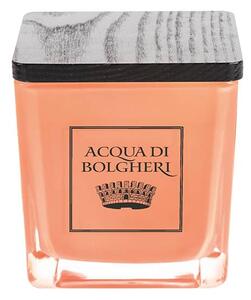 Acqua di Bolgheri Sójová vonná svíčka Elisir di Dolce Vita 200 g