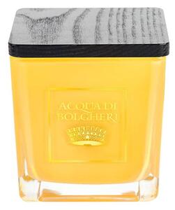 Acqua di Bolgheri Sójová vonná svíčka Oro 200 g