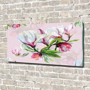 Fotoobraz skleněný na stěnu do obýváku Květiny magnolie osh-104301807