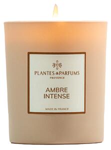 Plantes et Parfums de Provence Ambre Intense