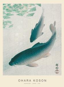 Obrazová reprodukce Nishikigoi, Two Koi Carp Fish (Special Edition) - Ohara Koson