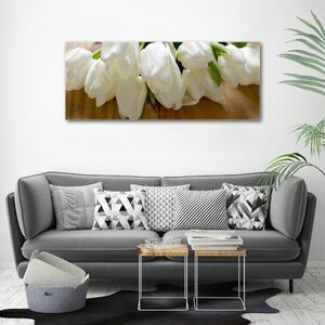 Foto obraz na plátně Bílé tulipány oc-104686883