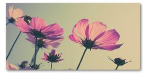 Foto obraz sklo tvrzené Růžové květiny osh-104707608