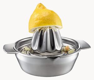 Lis na citrusy Lemon