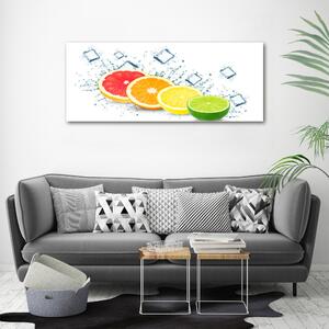Foto obraz na plátně do obýváku Citrusové ovoce oc-105914102