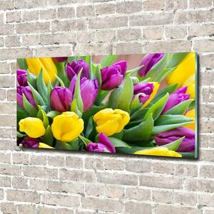 Foto obraz sklo tvrzené Barevné tulipány osh-106061917