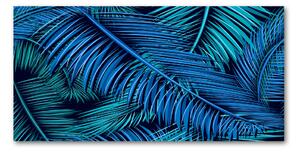Fotoobraz na skle Listí palmy osh-106410584