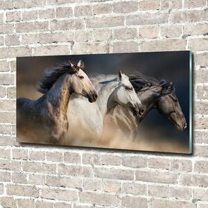 Fotoobraz na skle Koně ve cvalu osh-106659074