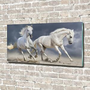 Fotoobraz skleněný na stěnu do obýváku Bílí koně pláž osh-106869148