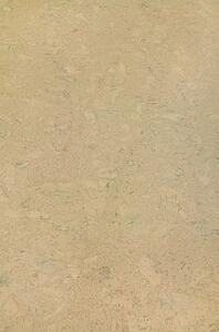 AMORIM WICANDERS Wise cork inspire Shell marfim 80003484 - 1.91 m2