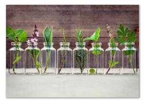 Foto obraz skleněný horizontální Rostliny ve sklenicích osh-107111601
