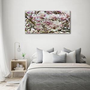 Foto obraz sklo tvrzené Květiny magnolie osh-107287859