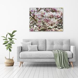 Foto obraz sklo tvrzené Květiny magnolie osh-107287859