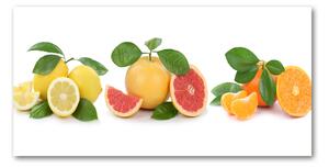 Foto obraz sklo tvrzené Citrusové ovoce osh-108945081