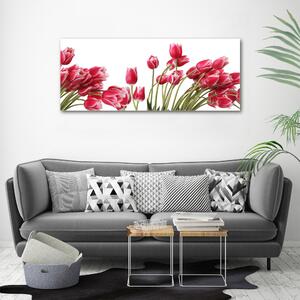 Foto obraz na plátně Červené tulipány oc-109710799